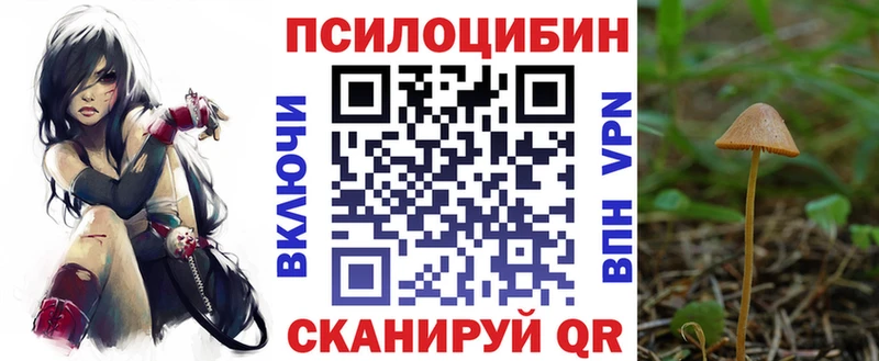hydra сайт закладки Сыктывкар Псилоцибиновые грибы Magic Shrooms