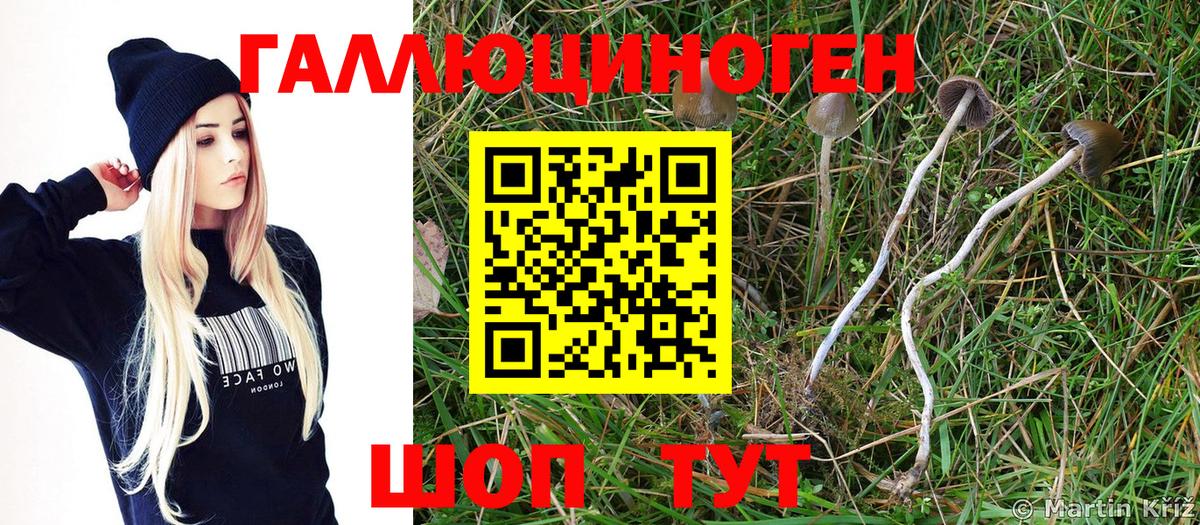 Псилоцибиновые грибы MAGIC MUSHROOMS  Вход с VPN  Псилоцибиновые грибы мицелий  Сыктывкар 